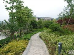 酒店花园-宁波九龙湖开元度假村
