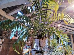 -GOTLOT COFFEE&KITCHEN角落厨房NOOK店