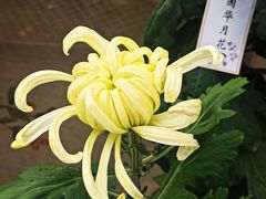 -共青国家森林公园-售票处