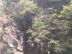-北京上方山国家森林公园
