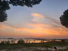 -合肥滨湖国家森林公园