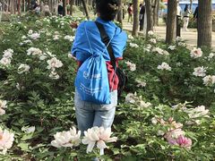 -洛阳市隋唐城遗址植物园