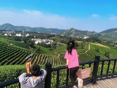 -帐篷客·溪龙茶谷度假酒店