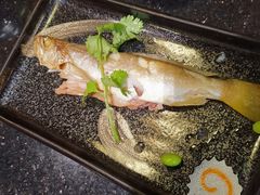 -德川家日本料理(龙德广场店)