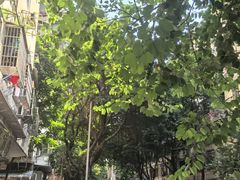 -甜甜屋(解放中路店)