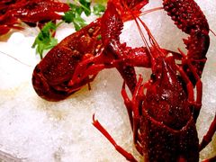 iphone_upload_pic-宁海食府(大剧院店)