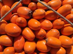 -楠溪江风景名胜区