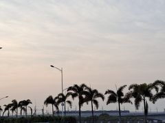 -海堤纪念公园