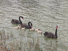 -昆山城市生态森林公园