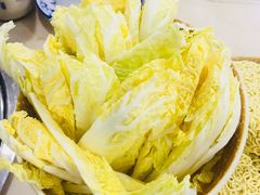 娃娃菜-顺德哥卜卜贝(旗舰店)