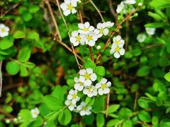 -白塘生态植物园