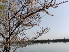 -颐和园