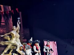 -俄罗斯国家大马戏团