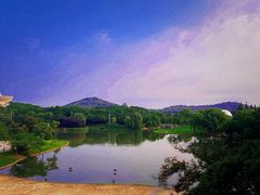 -上海东方佘山翰悦阁酒店·Vie全日制餐厅