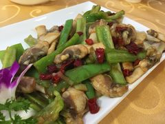 辣炒刀先-海岛渔村大酒店(云霄路店)