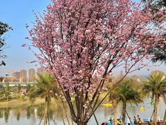 -枫香湖儿童公园