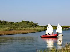 -春花秋色城市公园