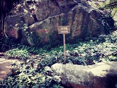 -宋井风景区