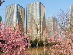 -郭记老汉口热干面