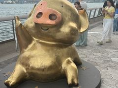 -星光大道