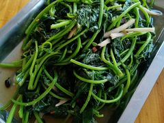 红薯叶-龙上水现炒生料(柳沙店)