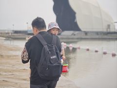-碧海金沙