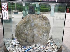 -陕西自然博物馆