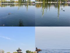 -后海公园