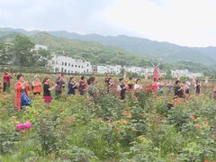-洪湖湿地生态园