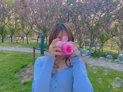 -合肥滨湖国家森林公园