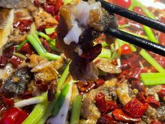 -老板恋上鱼(恒隆广场店)