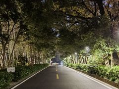 -南京东郊国宾馆