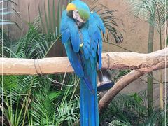 -杭州开元森泊度假乐园