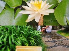 -七彩云南古滇温泉山庄