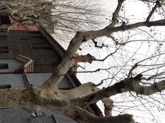 -上海孙中山故居纪念馆