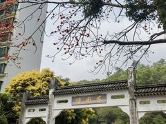 -深圳国际园林花卉博览园