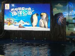 -华夏文旅海洋公园