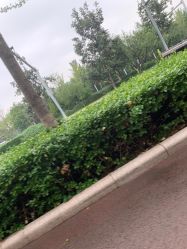 -HEYAN长风荷妍专业脱毛美肤
