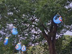 -杭州野生动物世界