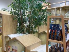 -屋虎猫馆(宝安大仟里店)