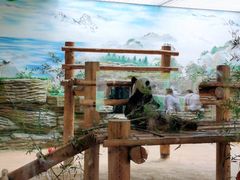 -西霞口神雕山野生动物世界