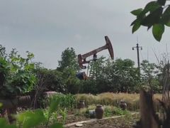 -五七小李子油焖大虾(总店)