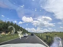 -塞罕坝国家级自然保护区