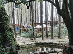 -林间山庄