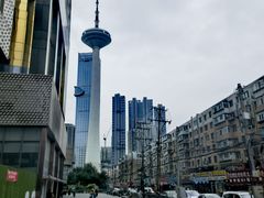 -辽宁电视塔