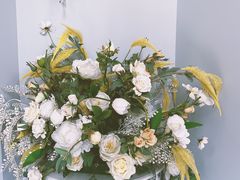 -柯斗斗主题餐厅·狗咖·围炉煮茶·茶饮(国瑞升平里店)