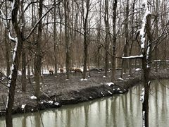 -溱湖国家湿地公园