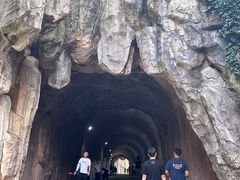 -巢湖姥山岛