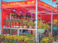 -深圳市罗湖体育馆