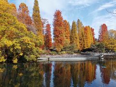 -井之头恩赐公园